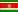 Suriname Companies